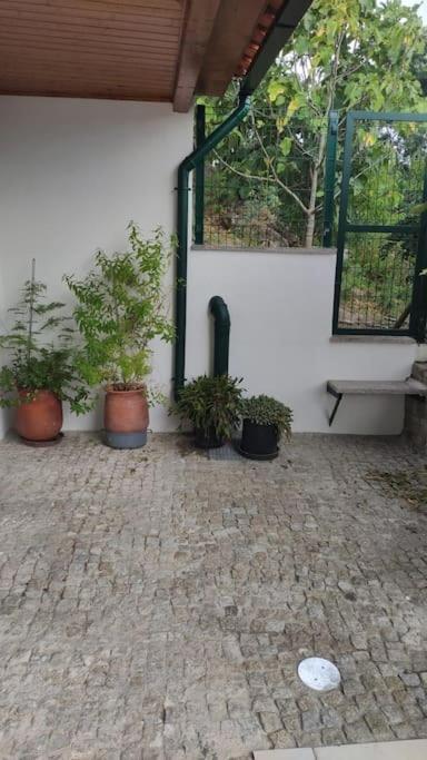 Vila Casa Dionisio Amarante Exteriér fotografie